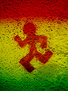 Virginia Reggae Runners/ Walkers!